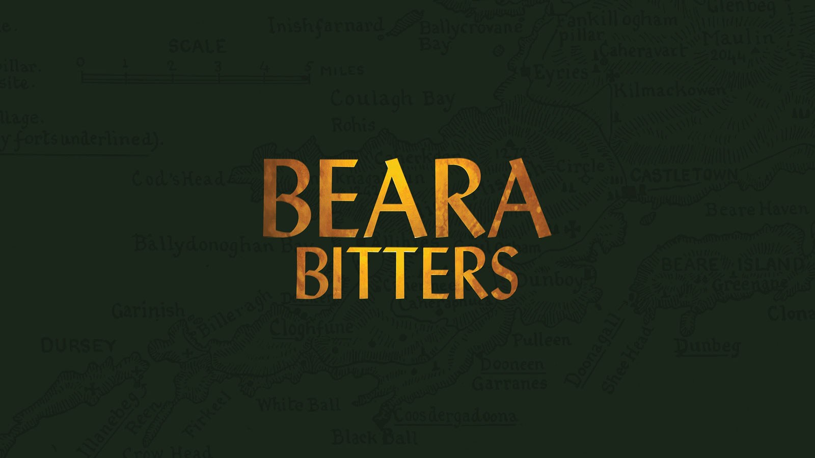 Beara Execution 1600 x 900px